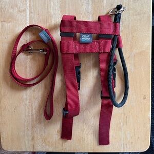 Cesar Milan - Illusion collar and leash set